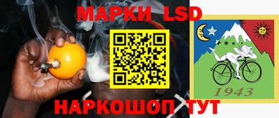 крисы Кингисепп