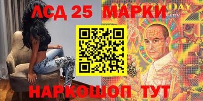 крисы Кингисепп