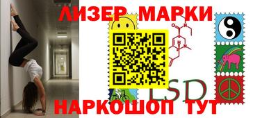 крисы Кингисепп
