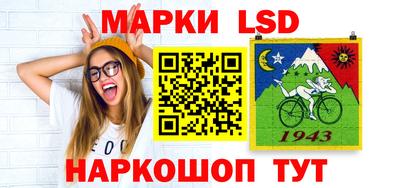 крисы Кингисепп