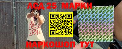 крисы Кингисепп