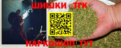 крисы Кингисепп