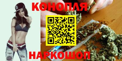 крисы Кингисепп