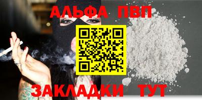 крисы Кингисепп