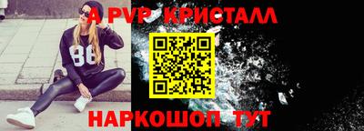 крисы Кингисепп