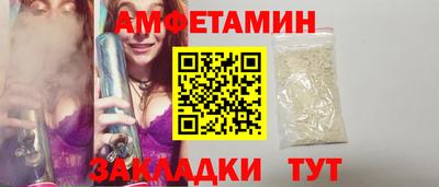 крисы Кингисепп